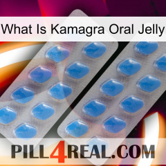 What Is Kamagra Oral Jelly 23
